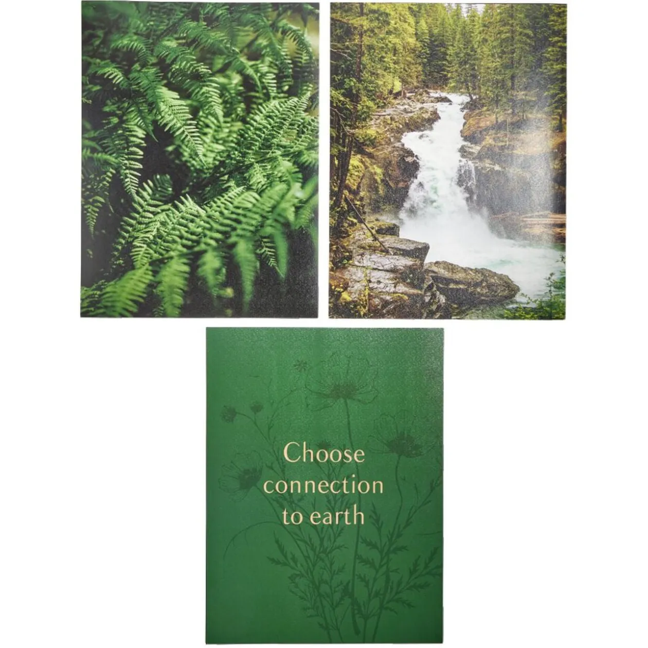 Affiche papier x3 thème nature noir et vert 30x40cm