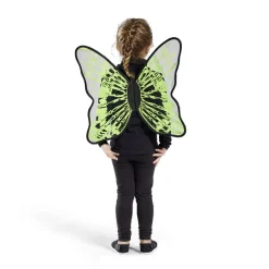 Ailes de papillon phosphorescentes