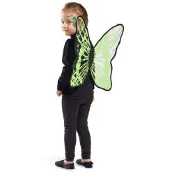 Ailes de papillon phosphorescentes