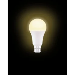 Ampoule LED B22 blanc chaud 14W=100W 1521lms classe F < Gifi Sale