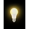 Ampoule LED E27 A60 blanc chaud 8,5W=60W 806lms classe F