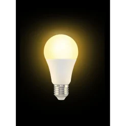 Ampoule LED E27 A60 blanc chaud 11W=70W 1055lms classe F