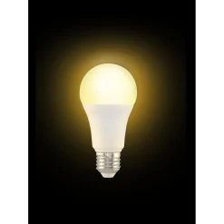 Ampoule LED E27 blanc chaud 14W=100W 1521lms classe F < Gifi Outlet