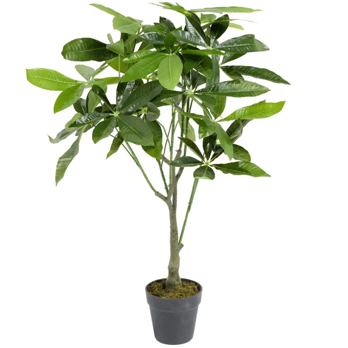 Arbre artificiel porte bonheur vert H75cm < Gifi Hot