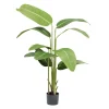 Arbre artificiel XL oiseau de paradis strelitizia H160cm < Gifi Best
