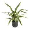 Arbre Sanseviera artificiel vert Ø25xH60cm < Gifi Best