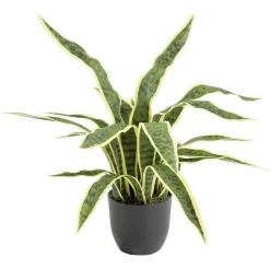 Arbre Sanseviera artificiel vert Ø25xH60cm < Gifi Best