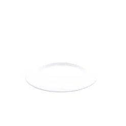 Assiette plastique coloré Ø 24 cm