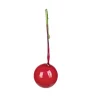 Baie déco houx rouge x20 < Gifi Clearance