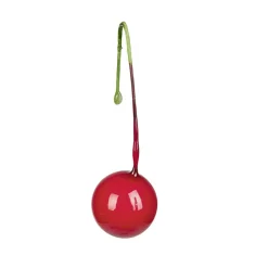 Baie déco houx rouge x20 < Gifi Clearance