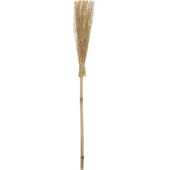 Balai de sorcière
