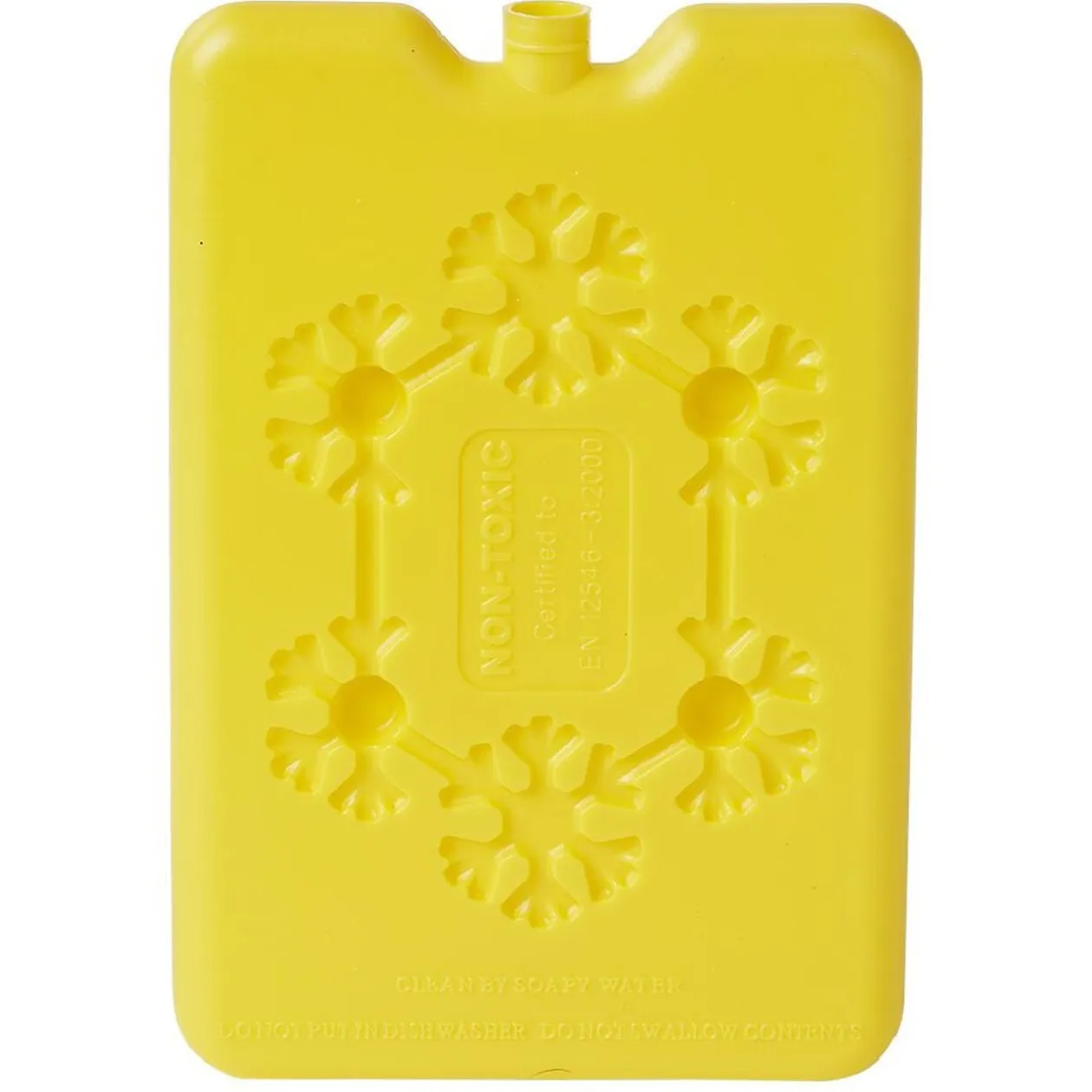 Bloc de glace réfrigérant 170 ml (4 modèles)