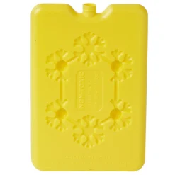 Bloc de glace réfrigérant 170 ml (4 modèles)