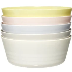 Bol à pique-nique plastique réutilisable Ø11,5xH5cm (5 pièces)