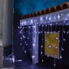 Bordure électrique 400 LED 9,8m d'éclairage blanc froid