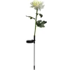 Borne solaire à planter forme pivoine H70cm