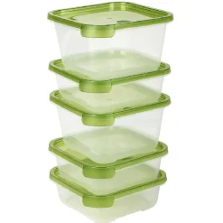 Boîte alimentaire transparente et verte x5