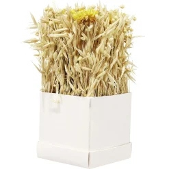 Boîte de fleurs séchées jaunes 9,5x9,5x9,5cm < Gifi Sale
