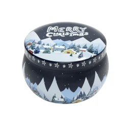 Boîte de Noël en fer Merry Christmas (4 modèles) < Gifi