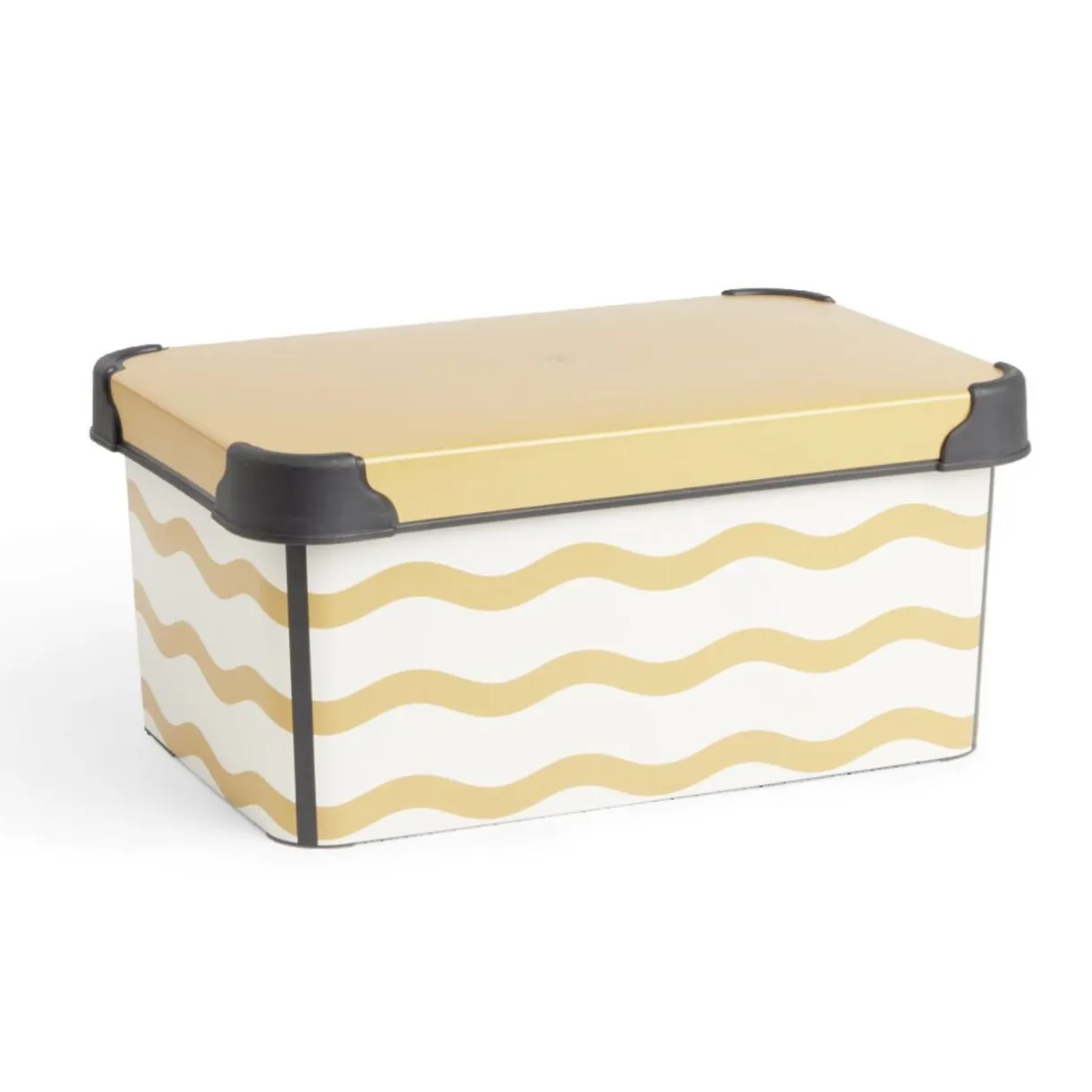 Boîte de rangement 5L - 28,5x19xH13,5cm < Gifi Hot