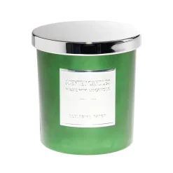Bougie avec couvercle pot métallisé gris et vert senteur sapin 25H < Gifi Best