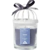 Bougie cage à oiseau bleue senteur monoï 36H < Gifi Outlet