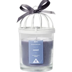 Bougie cage à oiseau bleue senteur monoï 36H < Gifi Outlet
