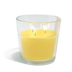 Bougie citronnelle 3 mèches Ø13xH12,5cm < Gifi Sale