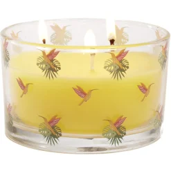 Bougie citronnelle pot en verre motif tropical 30H - Ø13xH8cm