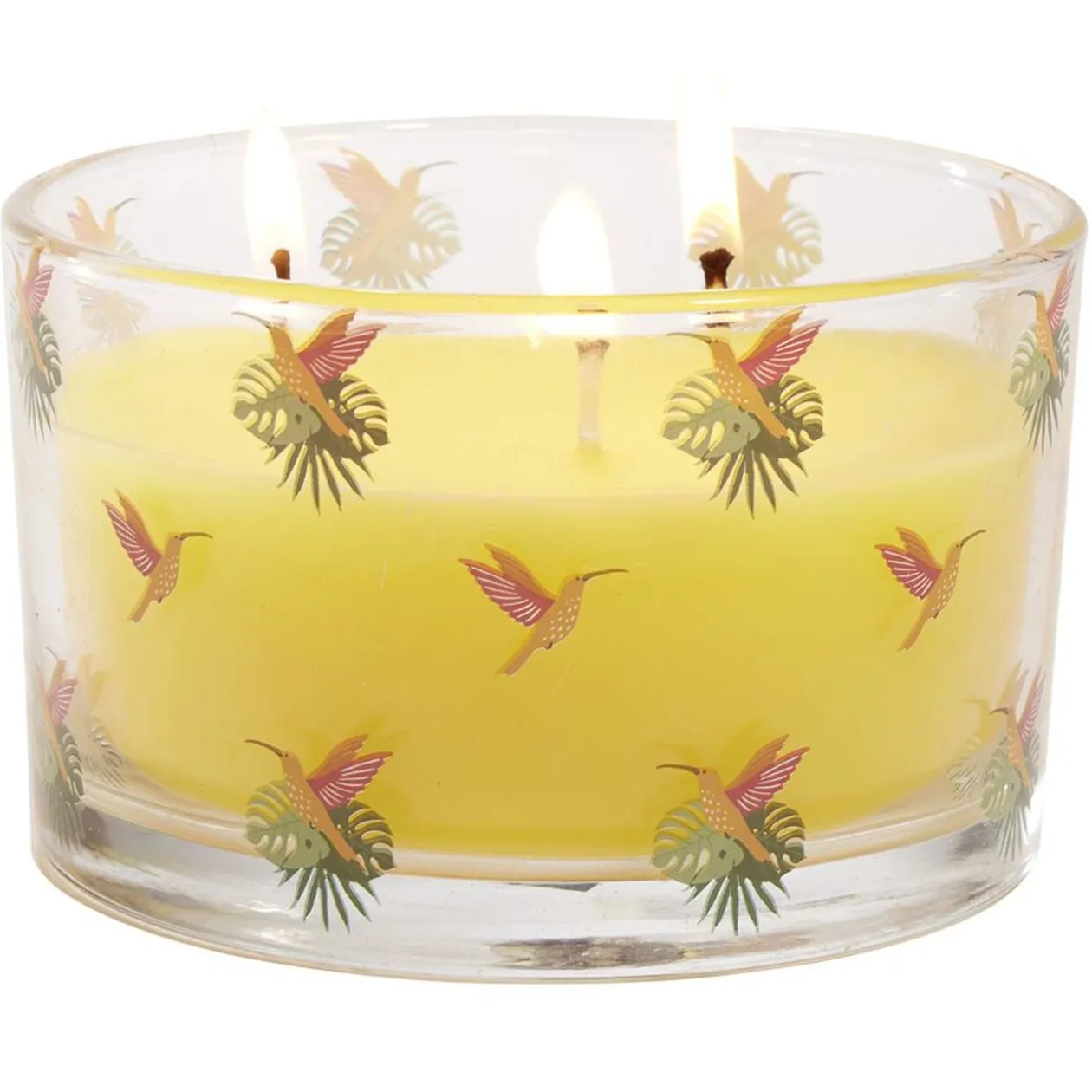 Bougie citronnelle pot en verre motif tropical 30H - Ø13xH8cm