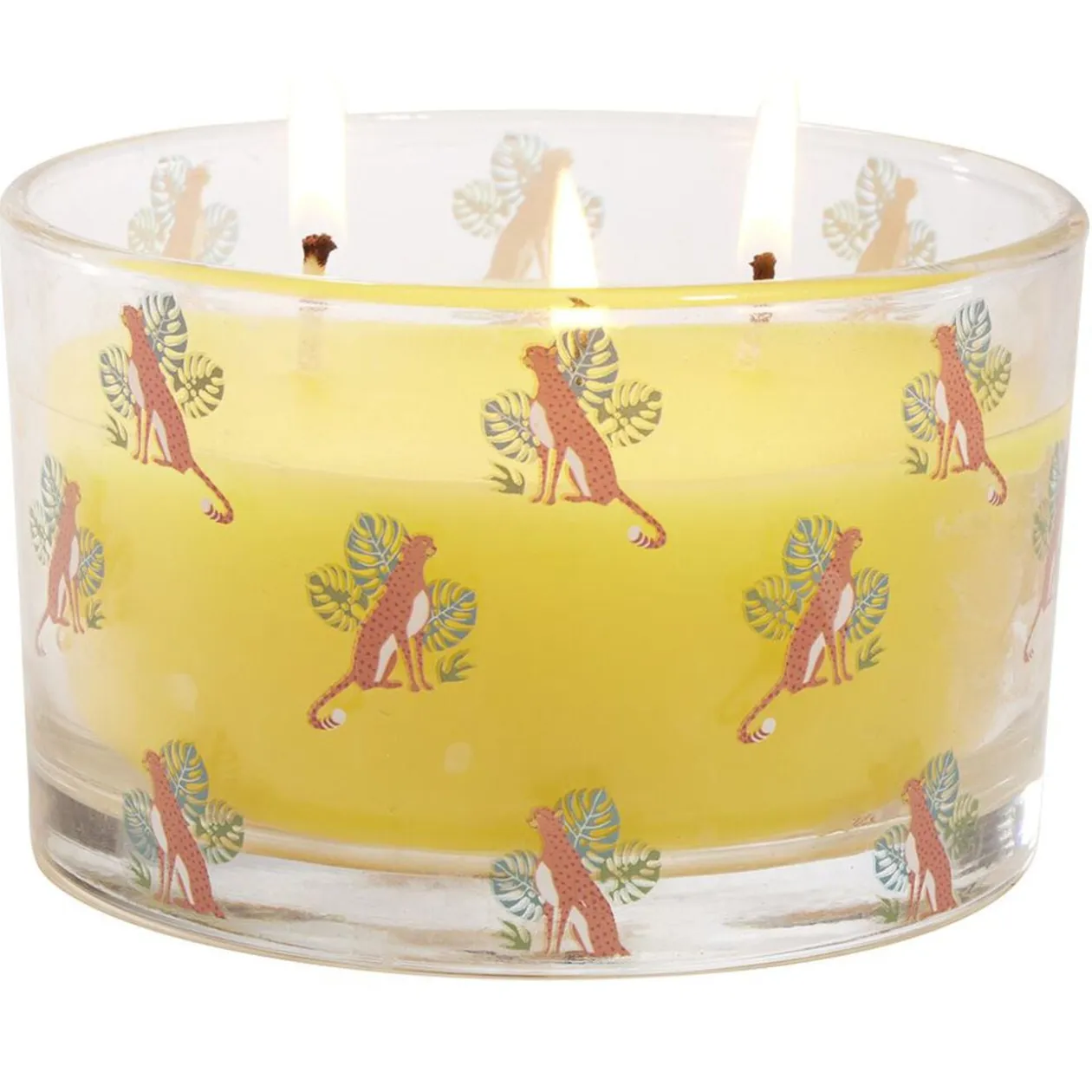 Bougie citronnelle pot en verre motif tropical 30H - Ø13xH8cm