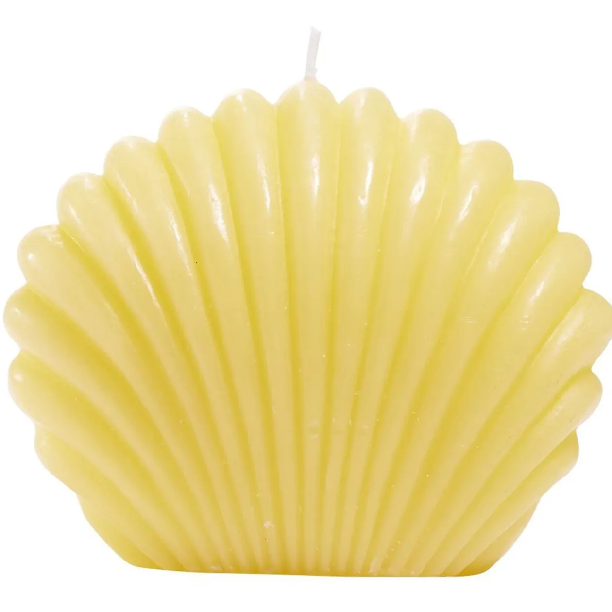Bougie coquillage grand modèle 15x12,8xH9cm