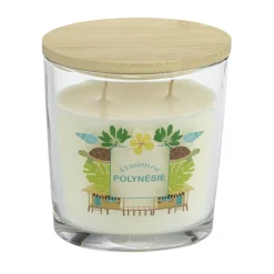 Bougie parfumée Ambiances Devineau 2 mèches Polynésie senteur monoï 30H < Gifi Clearance