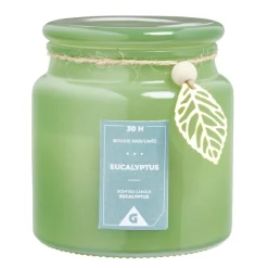 Bougie parfumée dans bonbonnière senteur eucalyptus 30H < Gifi Online
