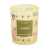 Bougie parfumée pot en verre voyage 40H Ø8xH10cm (3 modèles) < Gifi Clearance