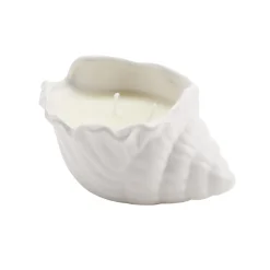Bougie pot céramique forme coquillage blanc 14x9xH7cm (2 modèles) < Gifi Online