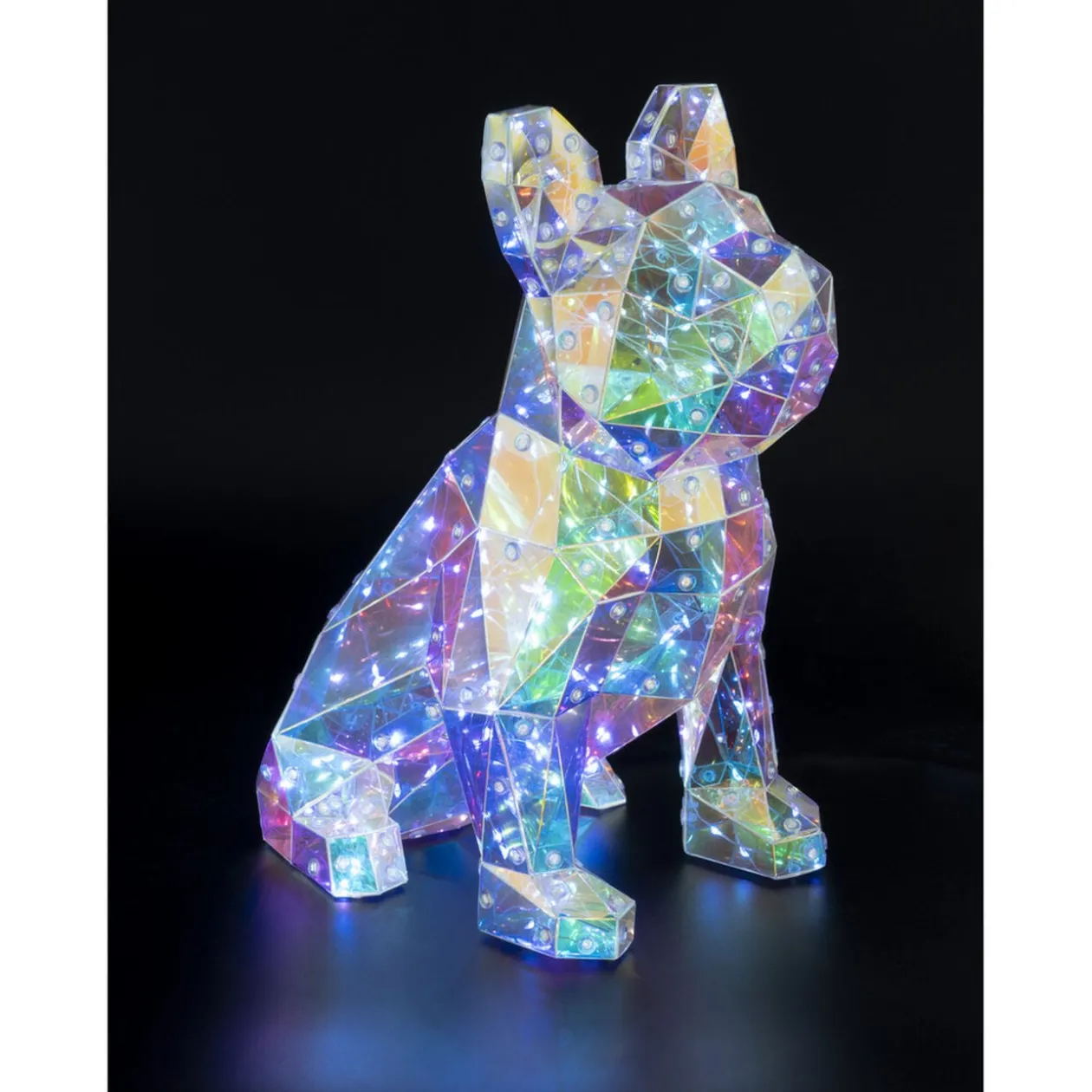 Bouledogue holographique lumineux 150LED