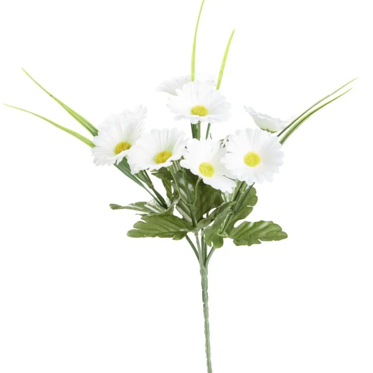 Bouquet de marguerites