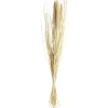 Bouquet Foxtail séché marron H85cm
