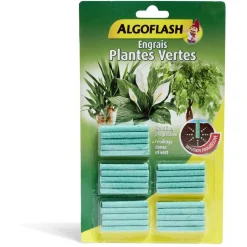 Bâtonnet engrais x25 plante verte