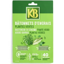 Bâtonnets d'engrais pour plantes vertes x40 < Gifi Discount