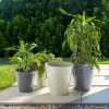 Cache pot motif provençal plastique gris Ø30xH30cm