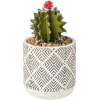 Cactus artificiel Ø9,5xH.17 cm < Gifi Discount