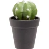 Cactus boule artificiel vert et blanc Ø7,5xH15cm