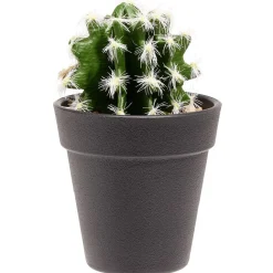 Cactus boule piquante artificiel vert et blanc Ø7,5xH15cm