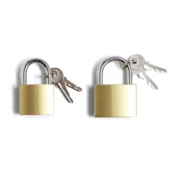 Cadenas à clé x2