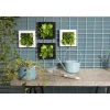 Cadre avec plante artificielle décoration murale < Gifi Best