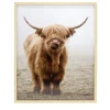 Cadre bois image vache Highland marron 40x50cm < Gifi New