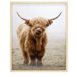 Cadre bois image vache Highland marron 40x50cm < Gifi New