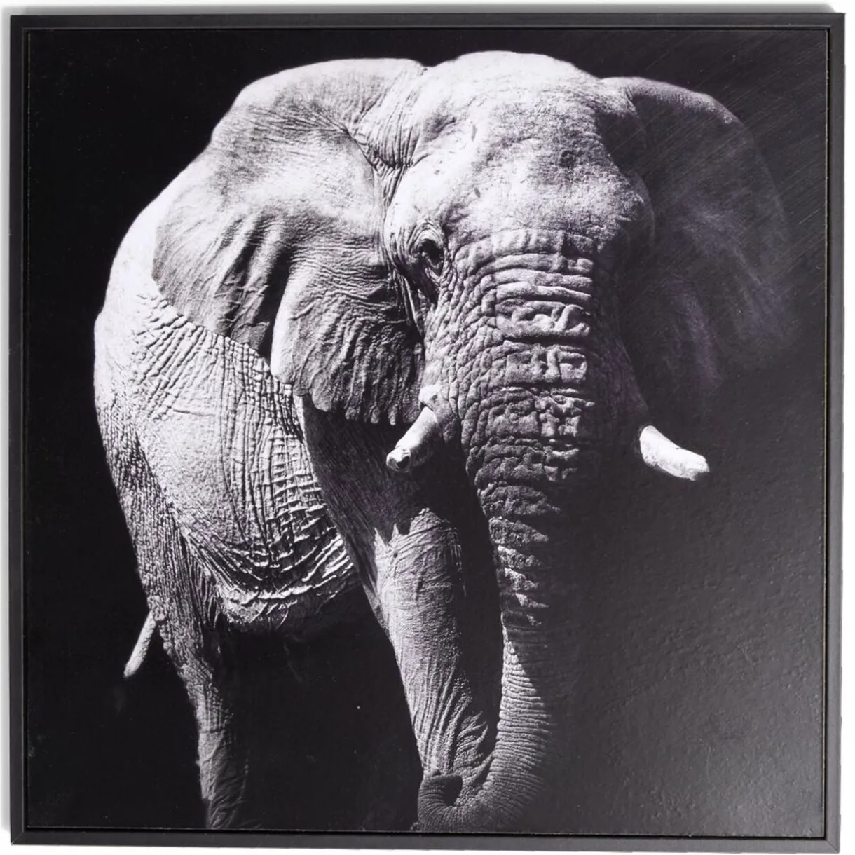 Cadre déco en bois photo éléphant 30x30cm < Gifi Sale